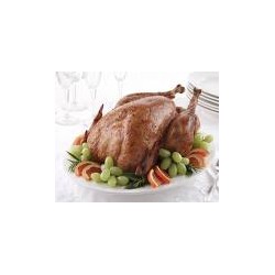 Broad-breasted Bronze Turkey